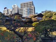 DSC_1341_R DSC_1341_R-e1738714152226